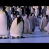 Pinguïn problemen