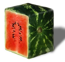 Vierkante Watermeloen